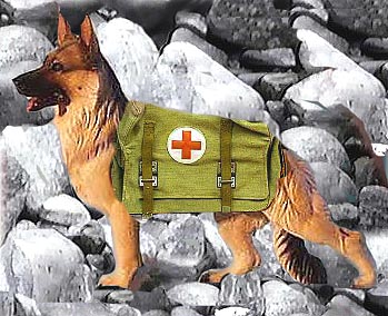Image of germanshepard.jpg