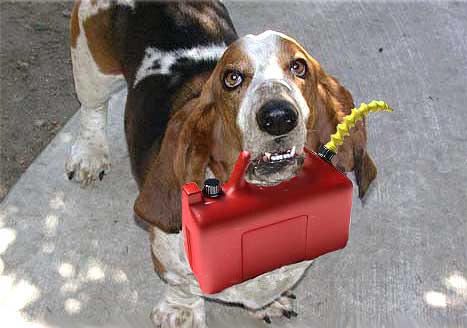 Image of henrygascan.jpg