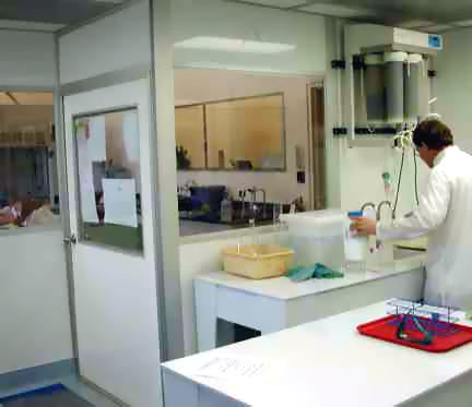 Image of labtwo.jpg