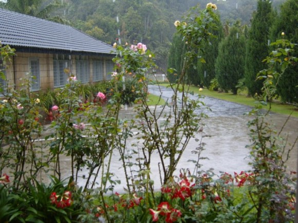 Image of rainydrive.jpg