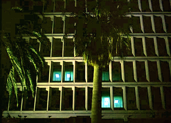 Image of rampartnightpalmtrees.jpg