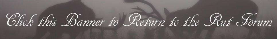 Image of rut.jpg