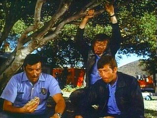 Image of stokermarcoguyseatsootyoutsidebytree.jpg
