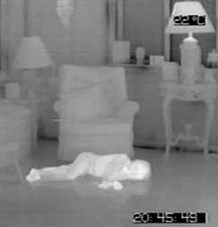 Image of thermalrescue.gif