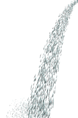 Image of tidalaniwaterleak.gif