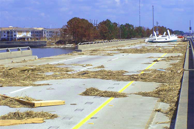 Image of tidaldebris.jpg