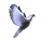 Image of tinydove.gif